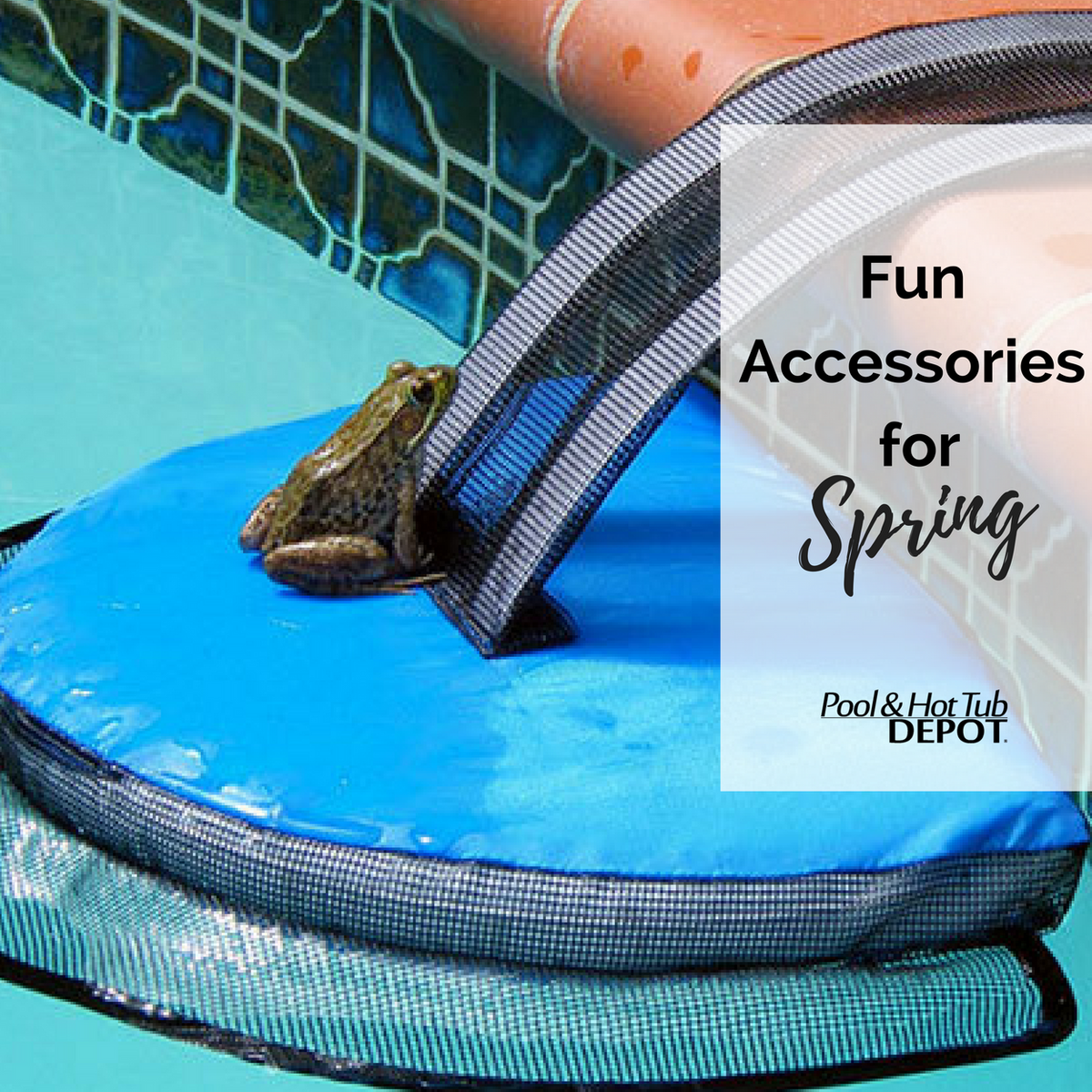 5 Fun Accessories for Spring displayed in a pool setting with a frog on a floating cover.