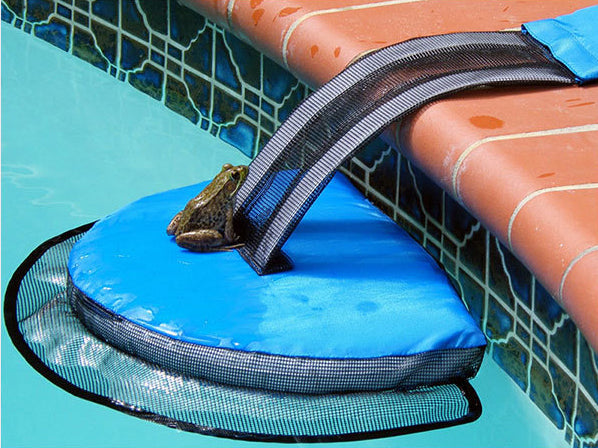 FrogLog: The Animal Rescue Ramp
