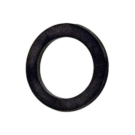 Pentair 1/4" Drain Plug Gasket Washer - 074629