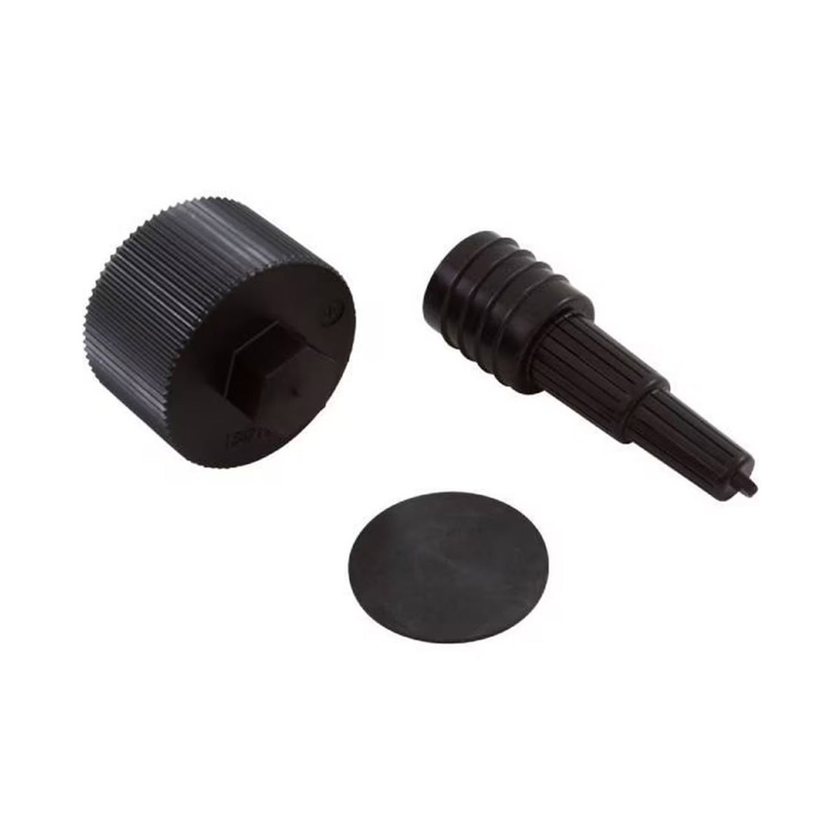 Pentair Complete Drain Assembly Kit