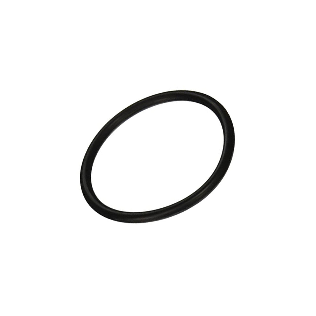 Pentair Bulkhead O-Ring