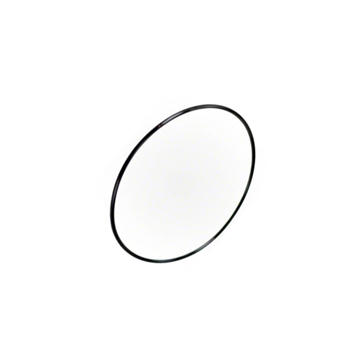 Pentair O-Ring Valve Closure - 154493