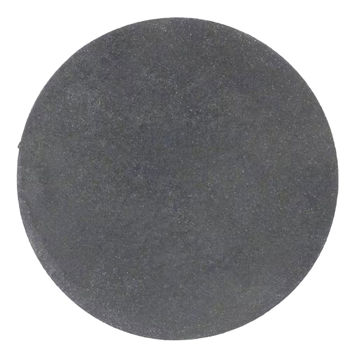 Pentair Sand Drain Gasket