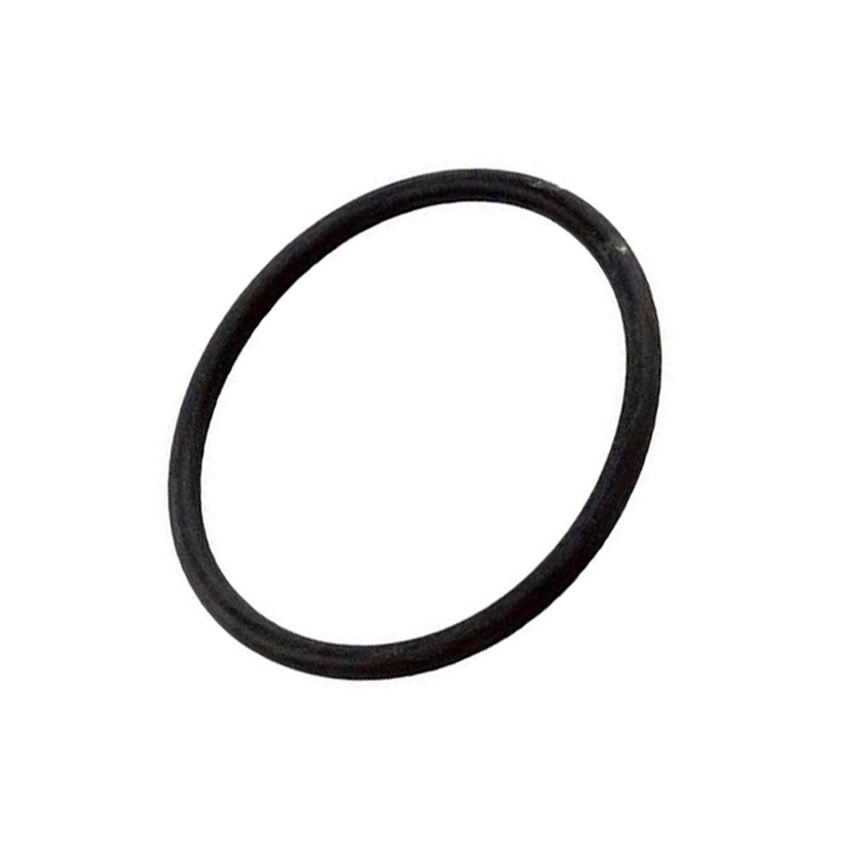 Pentair O-Ring Standup - 155064