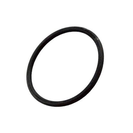 Pentair O-Ring Standup - 155064