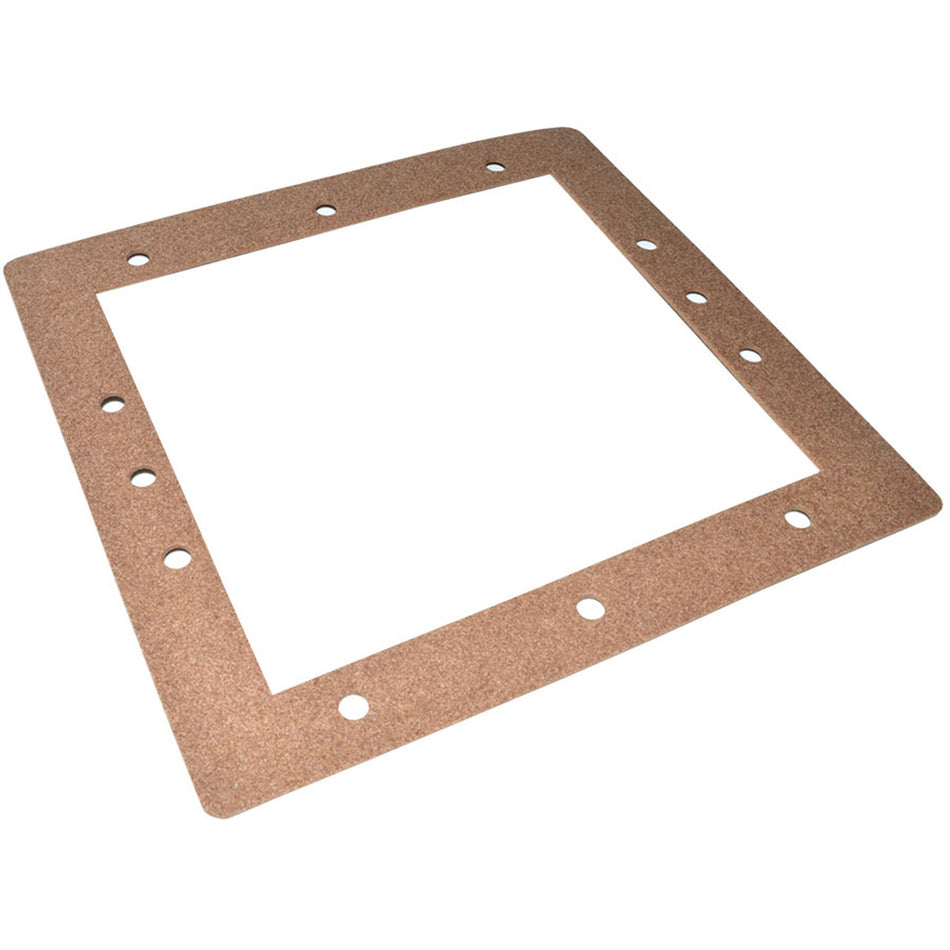 Pentair Dynamic Filter and Wall Gasket