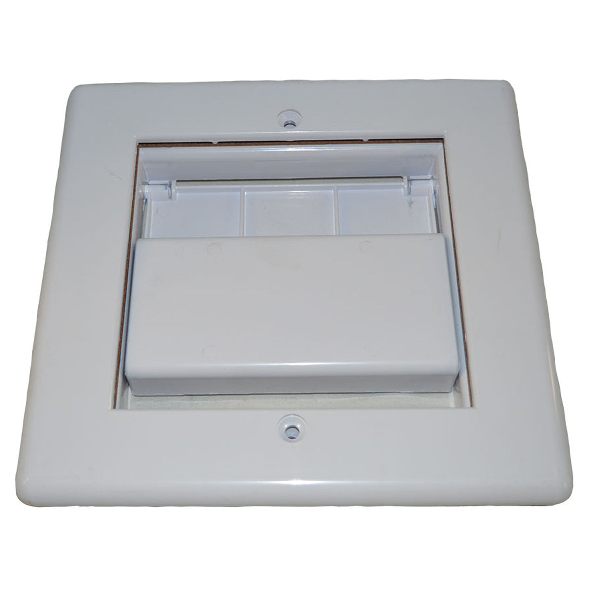 Pentair Face Plate Mounting Kit - White