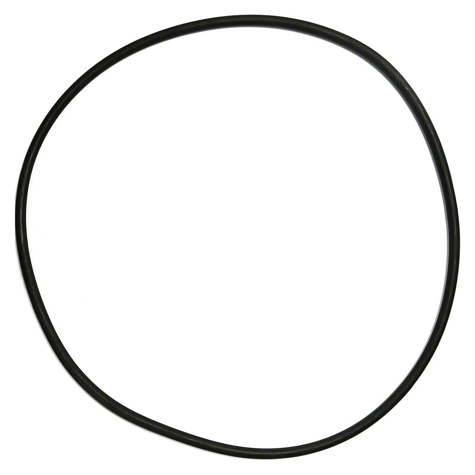 Large Hayward o-ring or gasket for CC150CAN filters