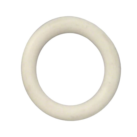 Pentair Drain Plug O-Ring 192115Z