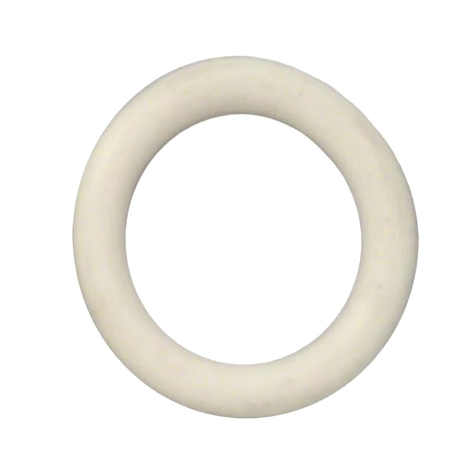 Pentair Drain Plug O-Ring 192115Z