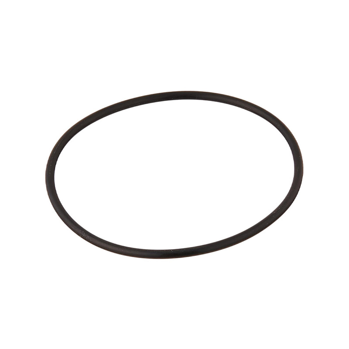 Pentair O-Ring Bulkhead - 192320