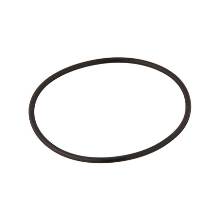 Pentair O-Ring Bulkhead - 192320