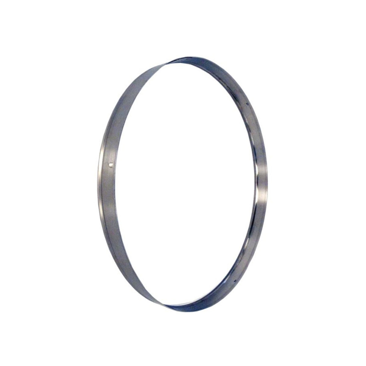 Pentair Stainless Steel Ring - 195339