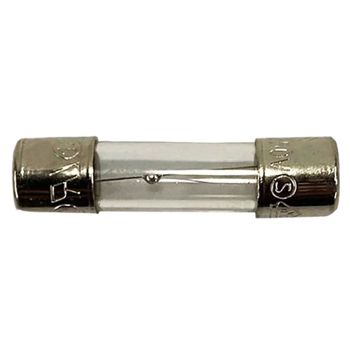 Balboa Water Group 2A Fuse 250V