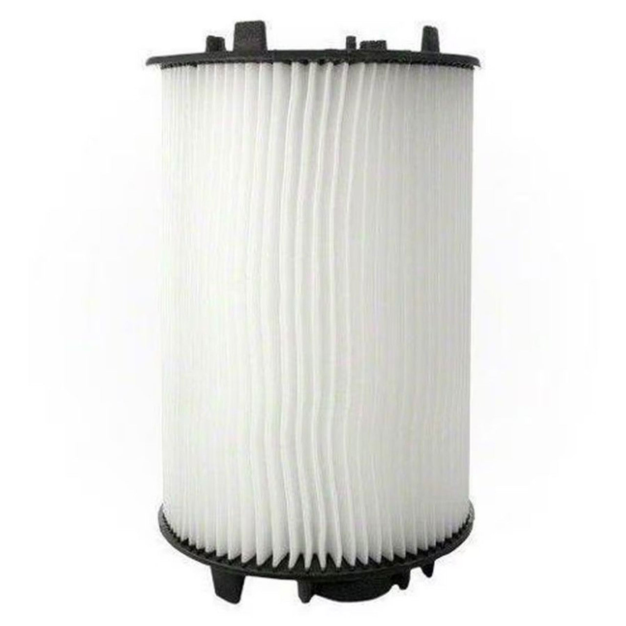 Pentair Replacement System 2 Filter
