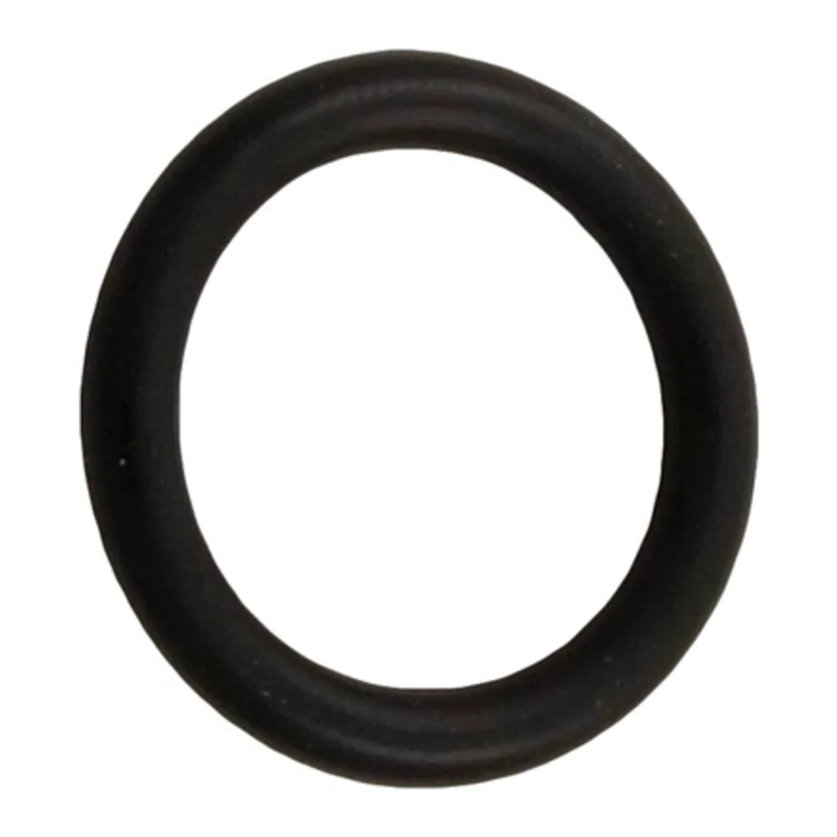 Pentair O-Ring 272511