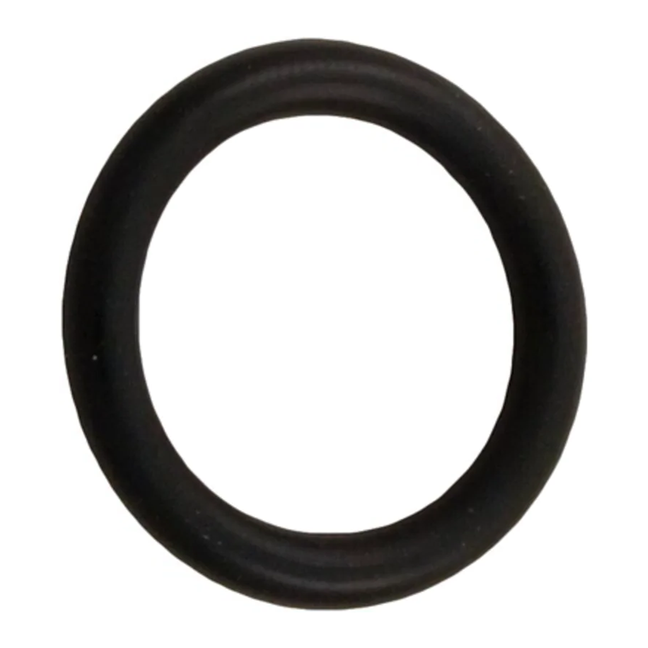 Pentair O-Ring 272511