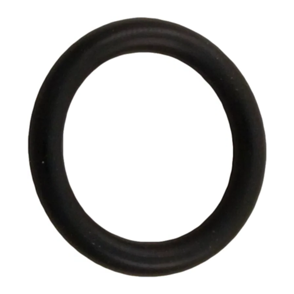 Pentair O-Ring 272511