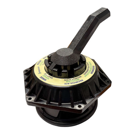 Pentair HiFlow Top Valve Assembly - 272531