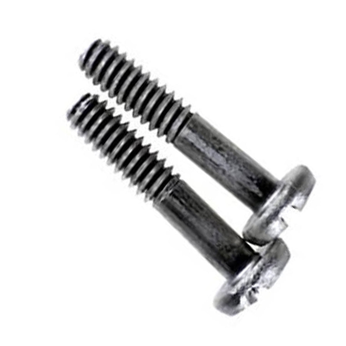 Hayward Screw Set For Drains - WGX1030Z2AM