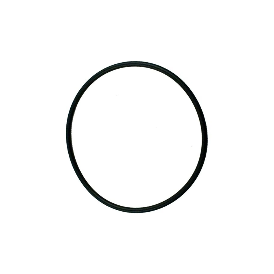 Pentair Lid O-Ring Replacement
