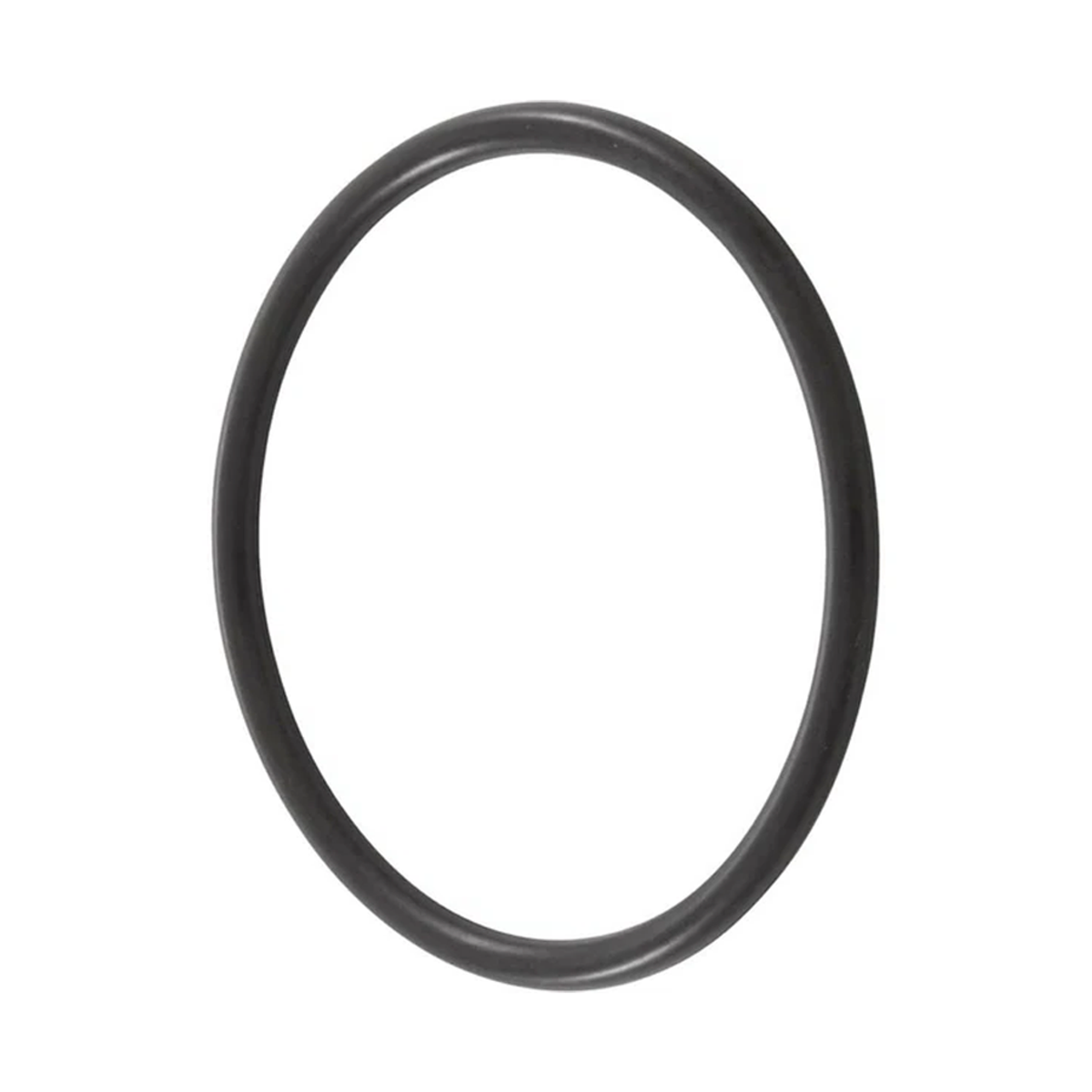 Pentair Filter and Pool Pump O-Ring