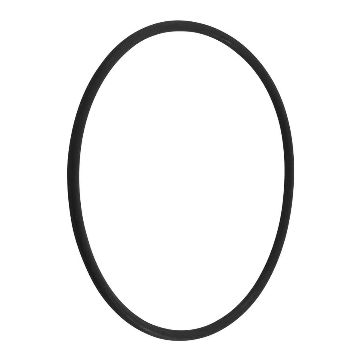 Pentair Diffuser O-Ring