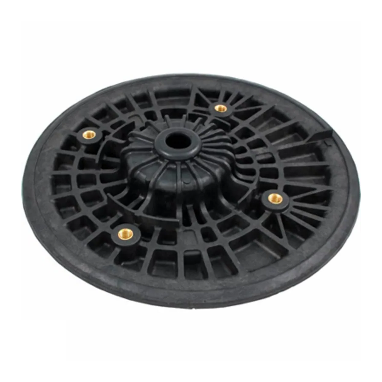 Pentair Challenger Black Seal Plate 355004