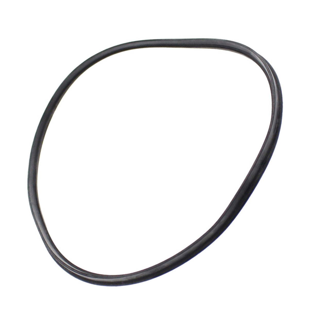 Hayward Strainer Cover T Seal - SPX4000TS