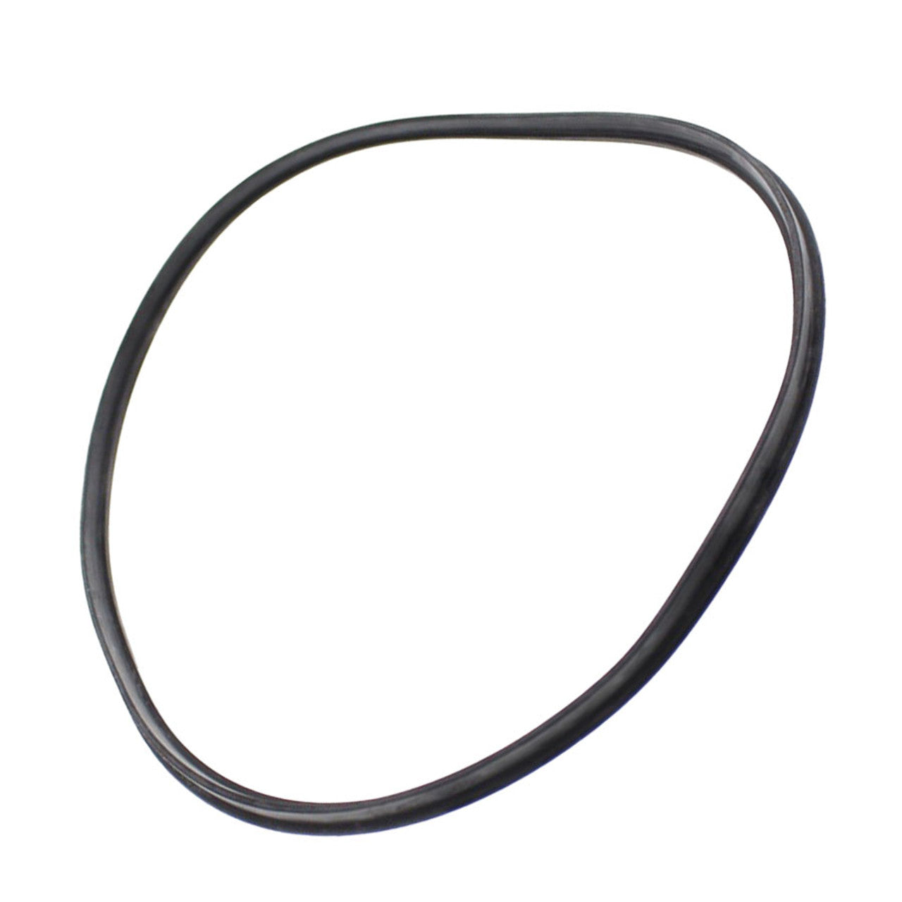 Hayward Strainer Cover T Seal - SPX4000TS