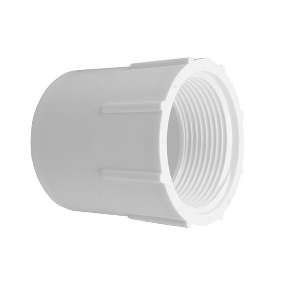 PVC Female Adapter - 1-1/4" Slip x 1-1/4" FPT