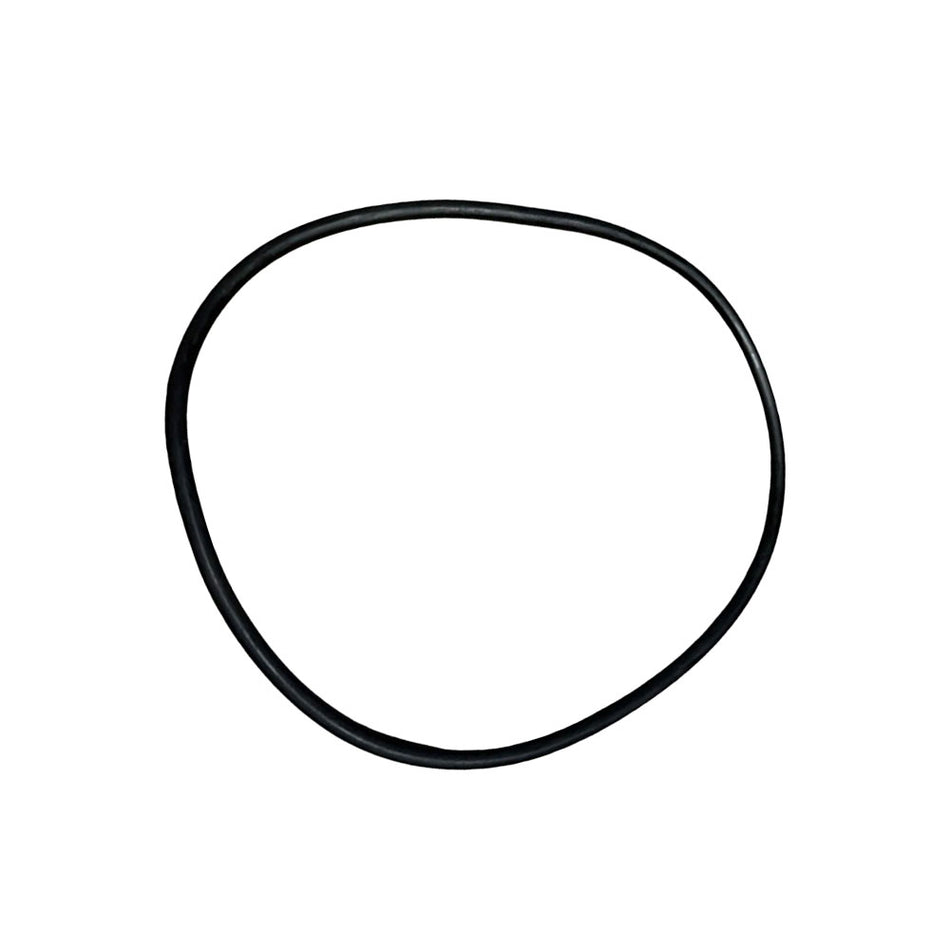 Strainer Body O-Ring