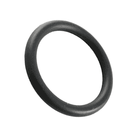 Pentair Drain Cap O-Ring