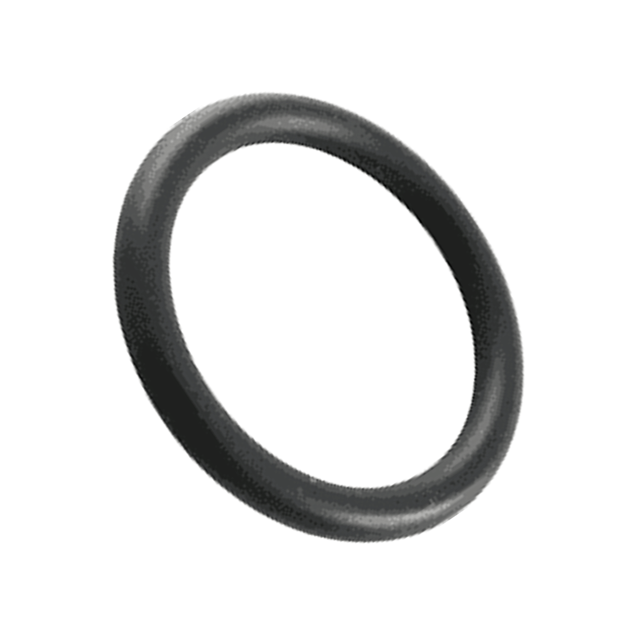 Pentair Drain Cap O-Ring
