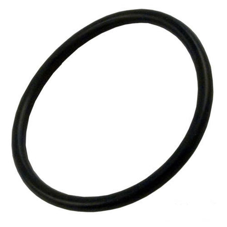 O-Ring for 1" Heater or Pump Union - Fits Tiny Mights