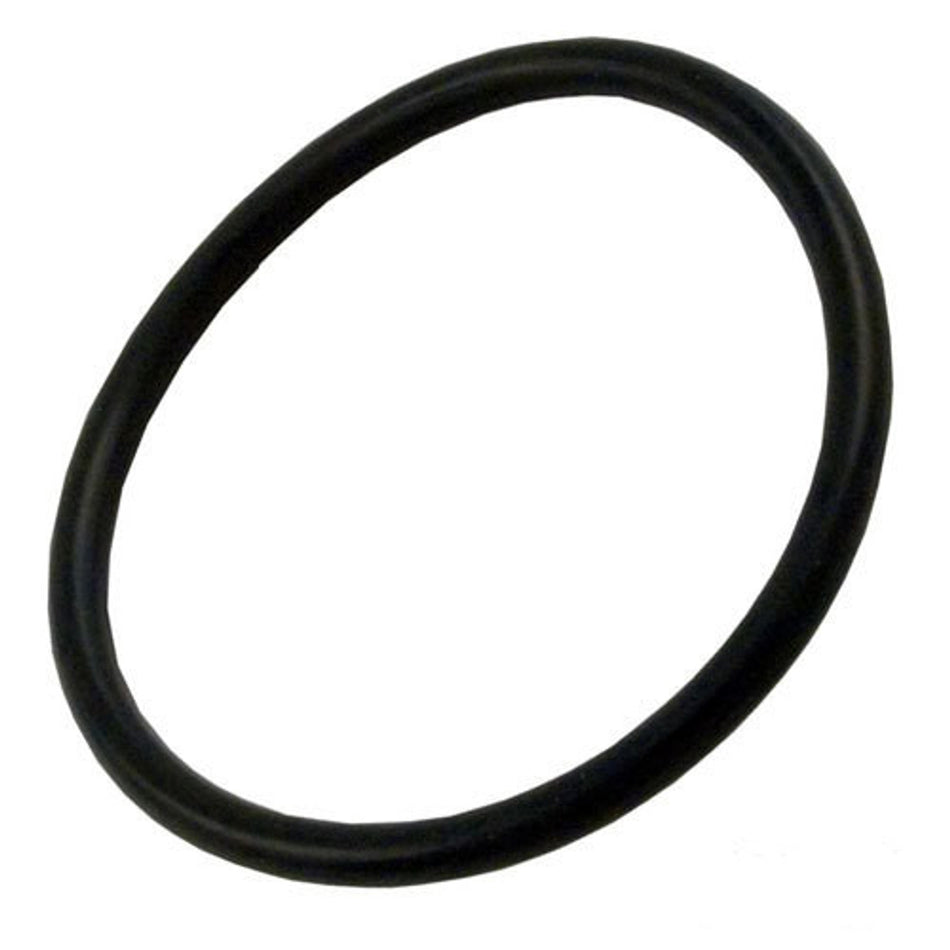 O-Ring for 1" Heater or Pump Union - Fits Tiny Mights