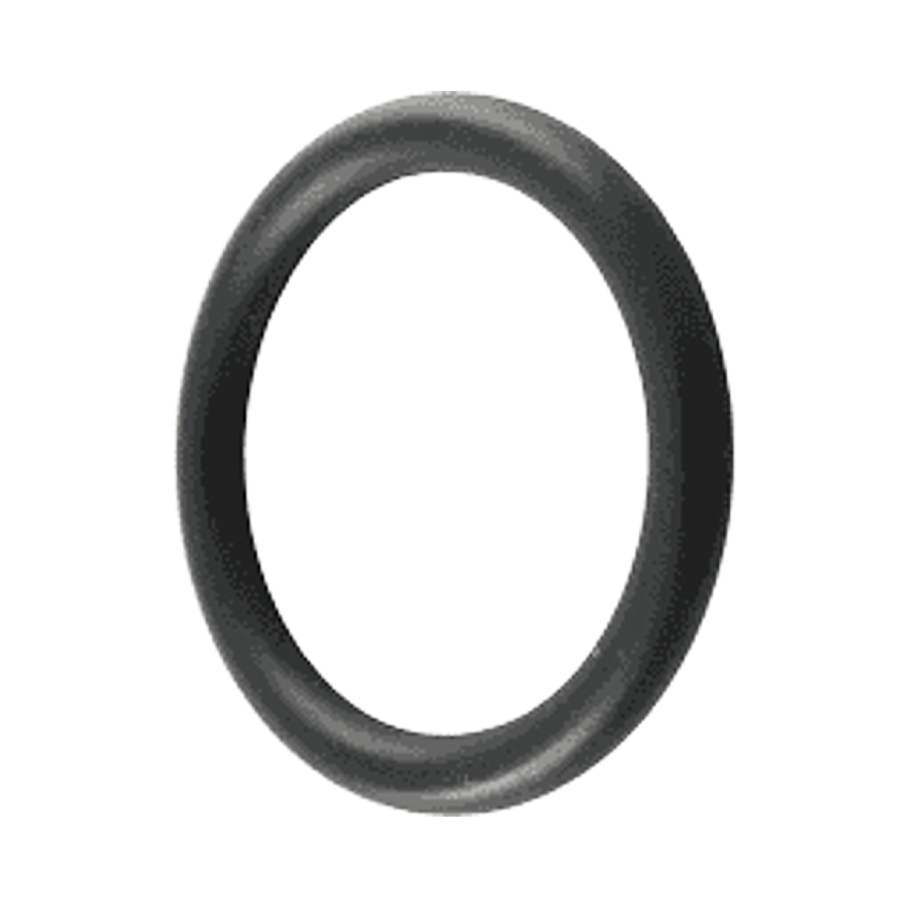 Pentair Bulkhead O-Ring