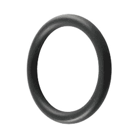 Pentair Bulkhead O-Ring