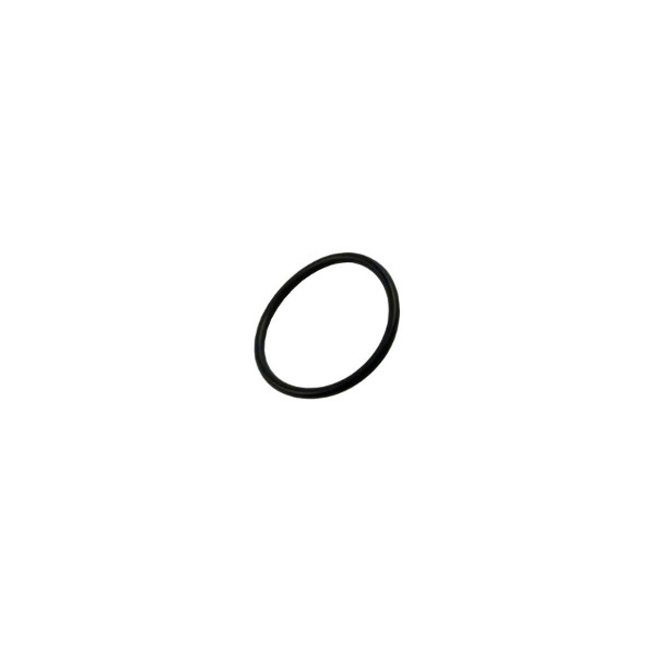 Aqua-Flo FMCP, FMHP Drain Plug O-ring