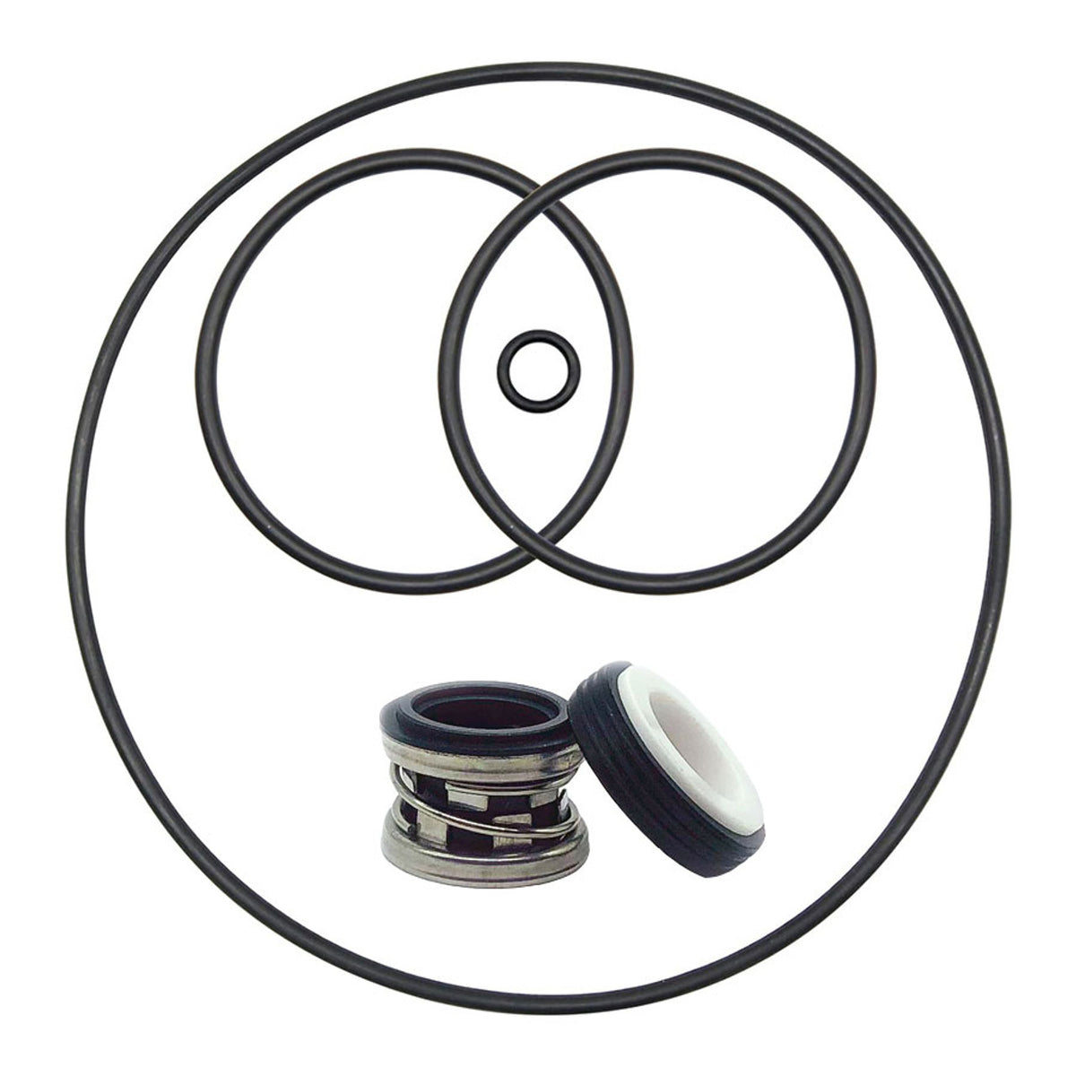 Aqua Flo Pump seal and o-ring kit