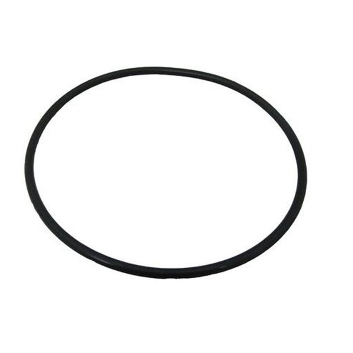 Hayward MaxFlo Pump Housing O-Ring
