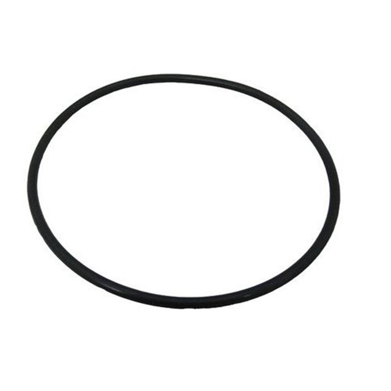 Hayward MaxFlo Pump Housing O-Ring