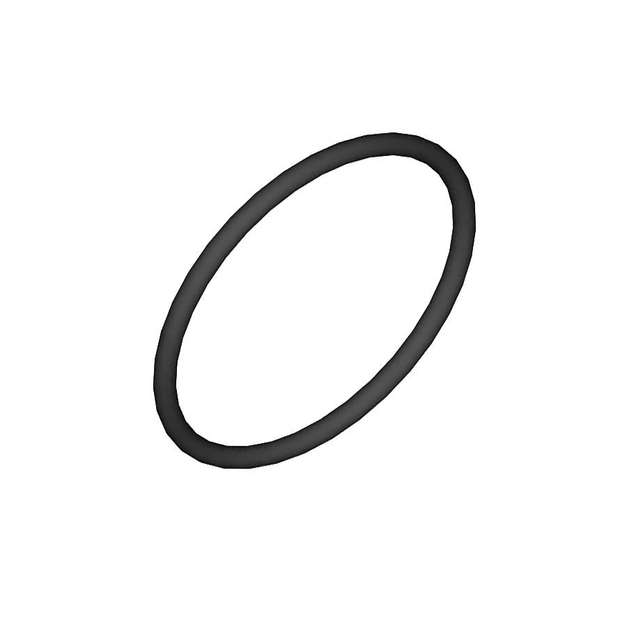 Hayward O-Ring