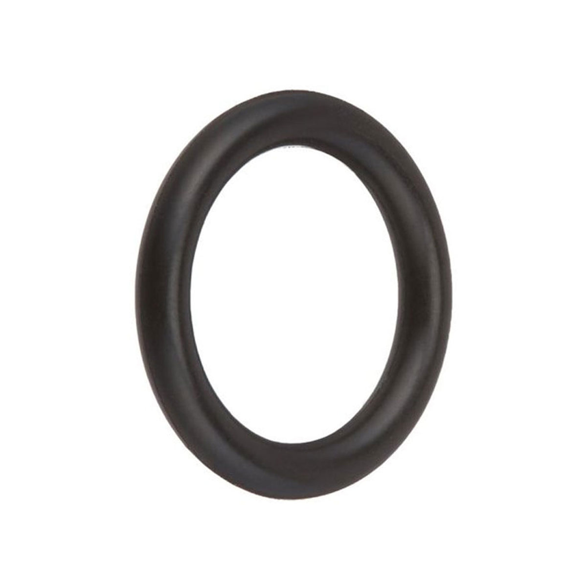 O-Ring Special Composition Viton, SPX0605Z2V