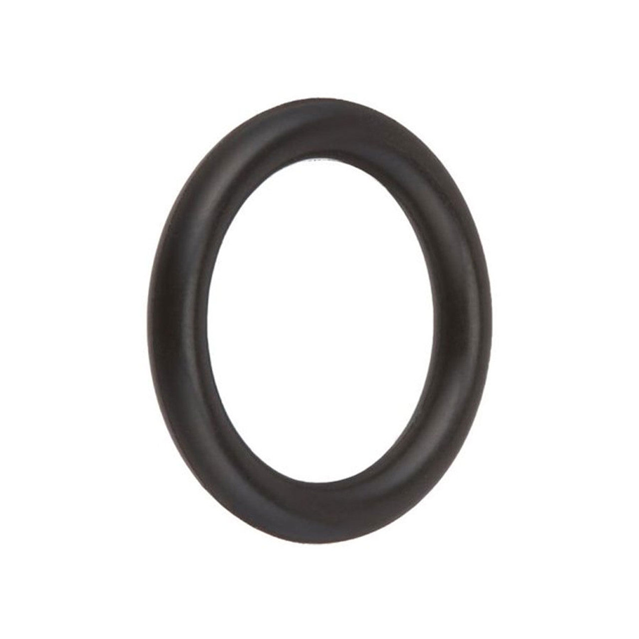 O-Ring Special Composition Viton, SPX0605Z2V