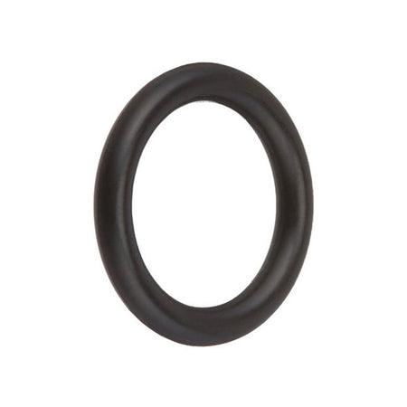 O-Ring Special Composition Viton, SPX0605Z2V
