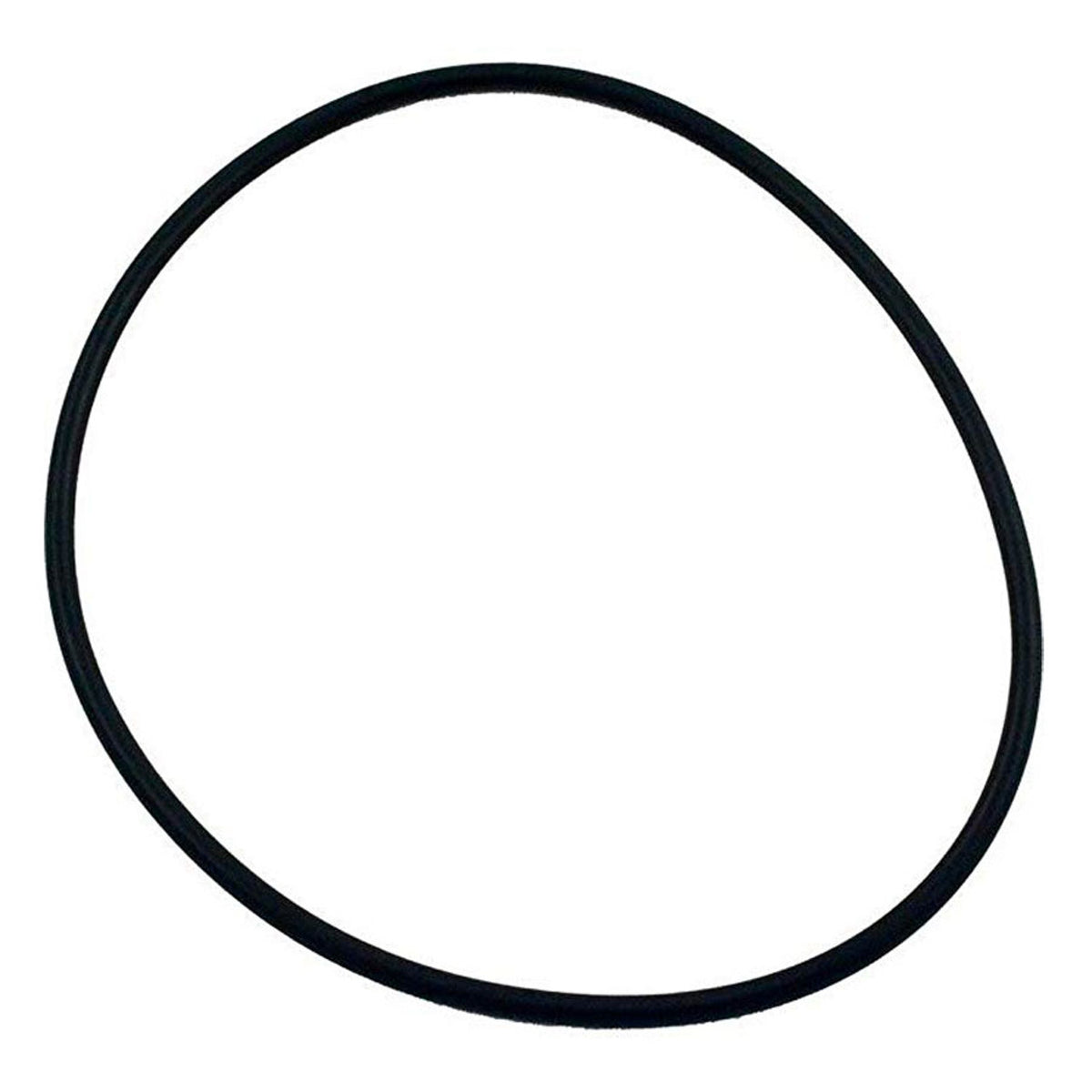 Hayward S200 Cover O-Ring - SX200Z6
