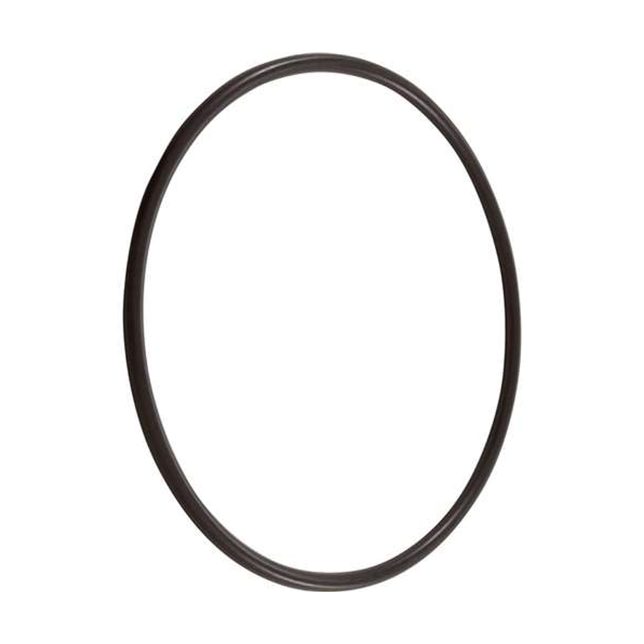 Pentair flange valve o-ring