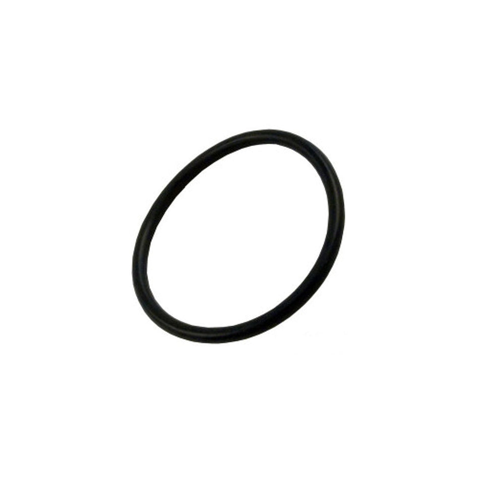Waterway Executive Drain Plug O-Ring