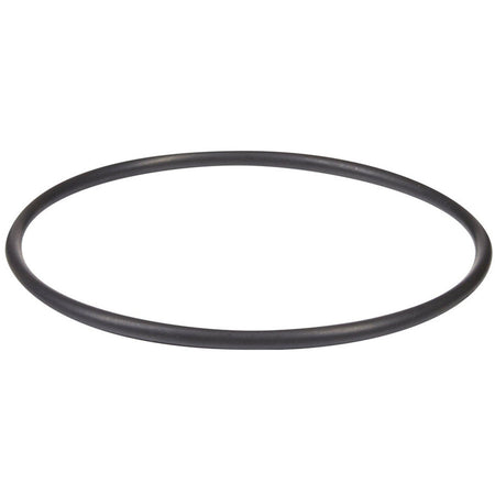 Hayward Strainer Cover O-Ring